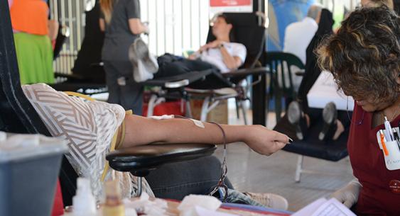 donacion sangre donacion sangre