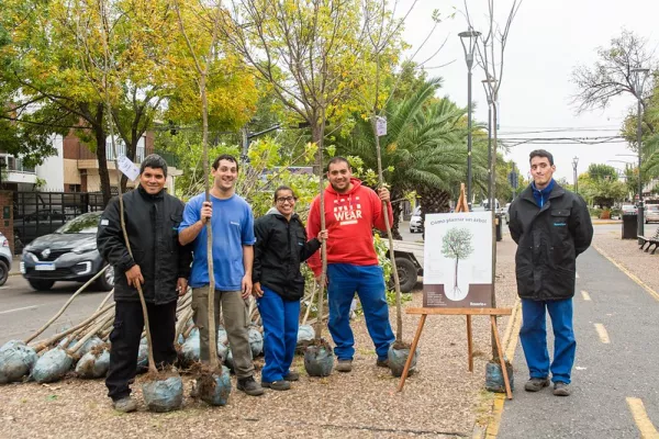 1 millon de arboles