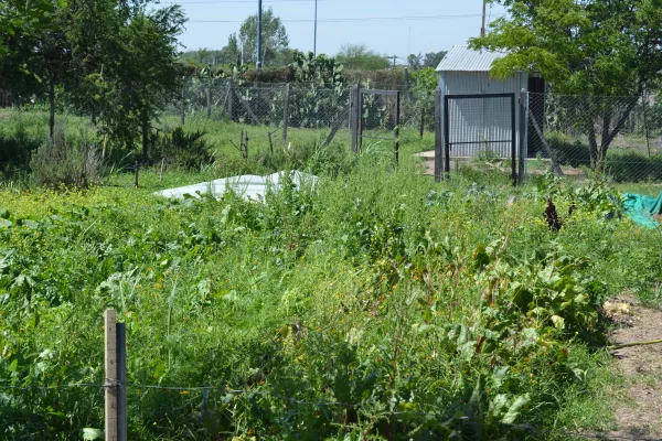 Huerta El Bosque