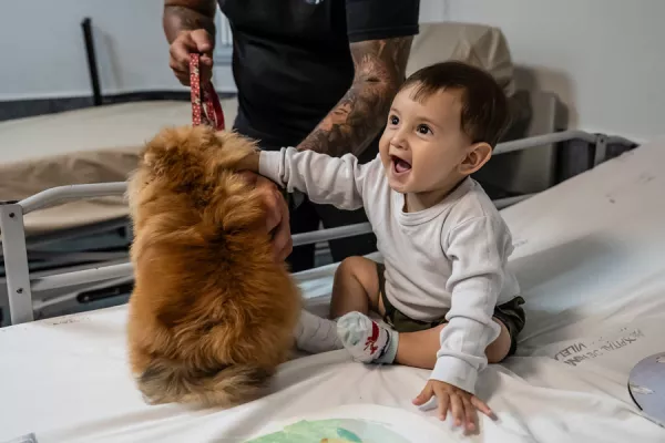 bebe con mascota