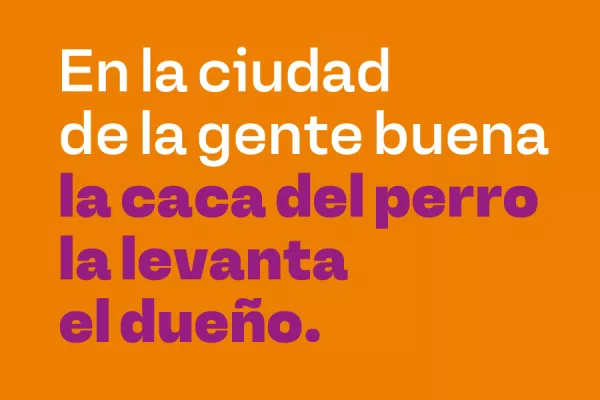 En la ciudad de la gente buena la caca del perro la levanta el dueño