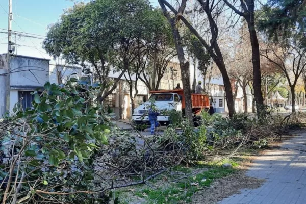 Poda y escamonda: el municipio realiza diversas tareas en forma periódica en todos los distritos