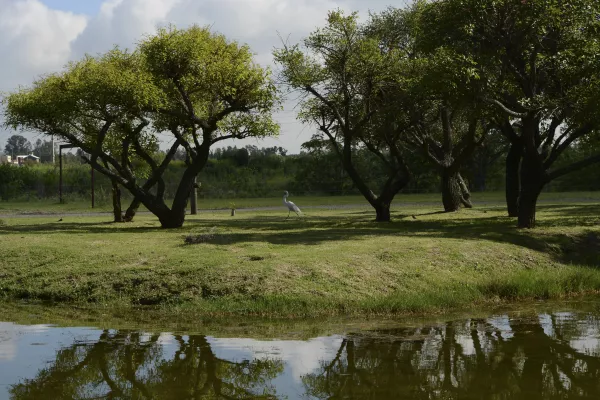 El municipio presenta el Calendario Ambiental 2026