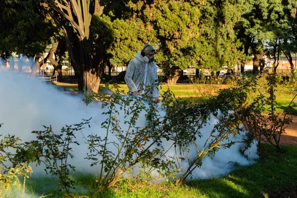 Prosiguen los operativos periódicos de fumigación en distintas zonas de la ciudad