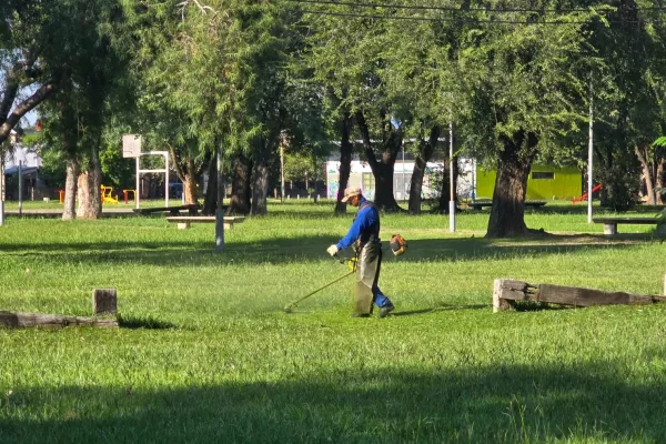 Continúan las tareas de desmalezado en los seis distritos