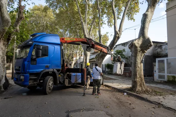 Este lunes 12 se realizan trabajos de mantenimiento del arbolado público en tres barrios