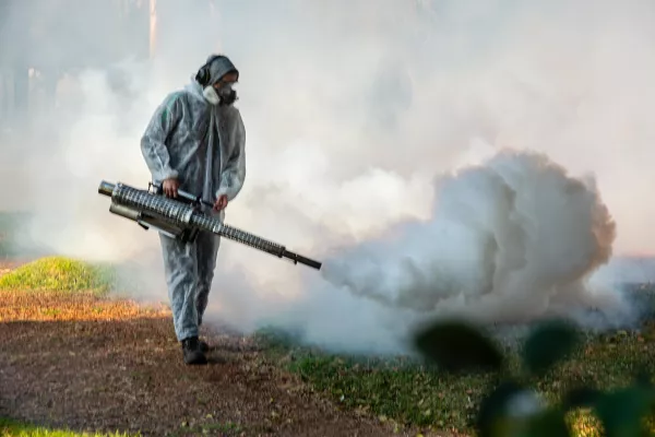 Fumigación: el municipio lleva adelante operativos en plazas y espacios verdes