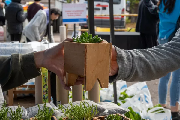 Este viernes habrá canje de reciclables en plaza Galicia