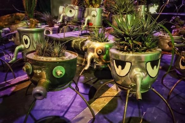 La Rebelión de los Objetos: una muestra que invita a reflexionar sobre la naturaleza y la forma de habitarla 