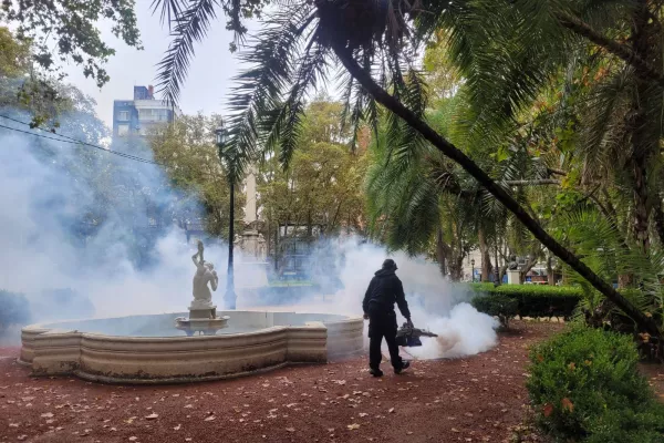 Fumigación: continúan los operativos en más de 50 puntos de la ciudad