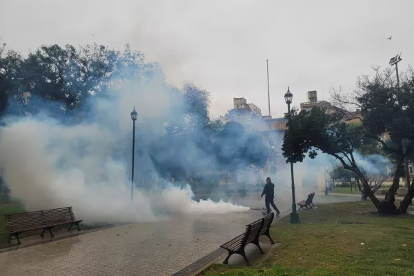 Fumigación: el municipio continúa con los operativos en distintas zonas de la ciudad