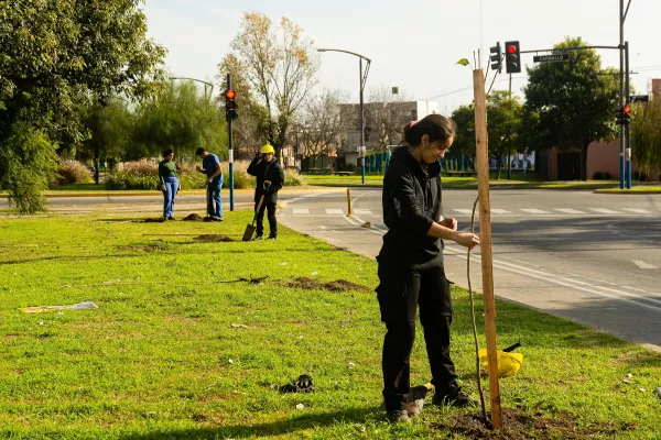 El municipio plantará otros 118 árboles en parques y plazas este sábado