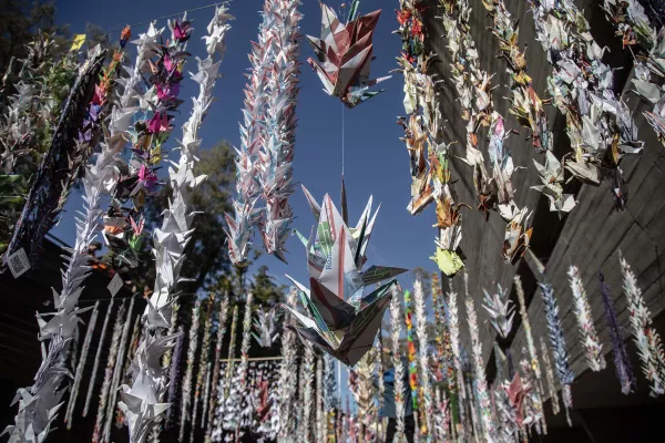 Mil Grullas por la Paz: una tradición rosarina que renueva su mensaje cada 6 de agosto