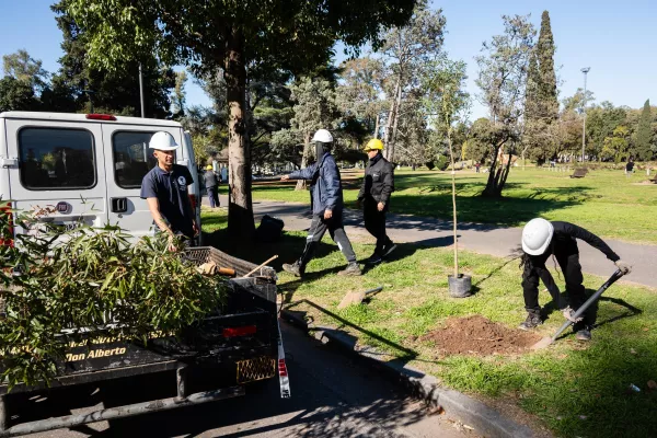 Avanza la plantación de árboles en distintos puntos de la ciudad