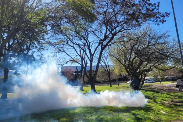 Fumigación: continúan los operativos en plazas y espacios verdes de la ciudad
