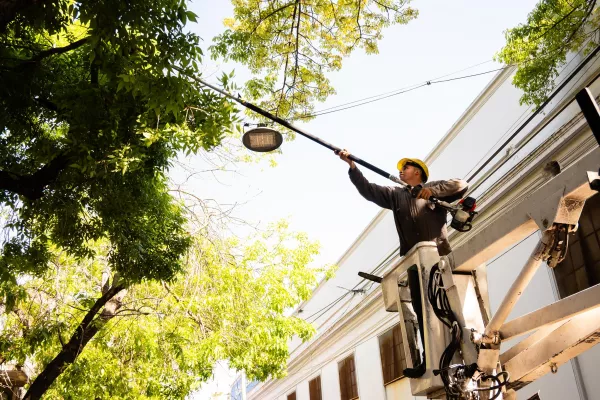 Continúan los trabajos de mantenimiento del arbolado público en distintos barrios