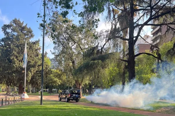 Continúan los operativos de fumigación en parques, plazas y espacios verdes