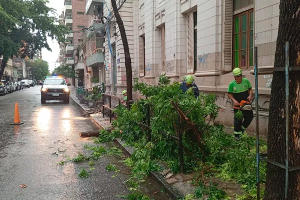 Temporal: la ciudad trabaja para recuperar la normalidad mientras se mantiene el alerta por tormentas