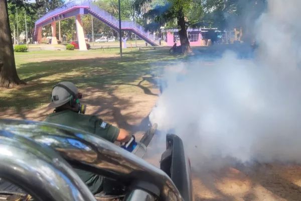 Fumigación: el municipio continúa con los operativos en plazas y espacios verdes  Fumigación: el municipio continúa con los operativos en plazas y espacios verdes