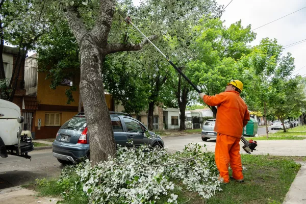 Continúan los trabajos de escamonda en diferentes barrios
