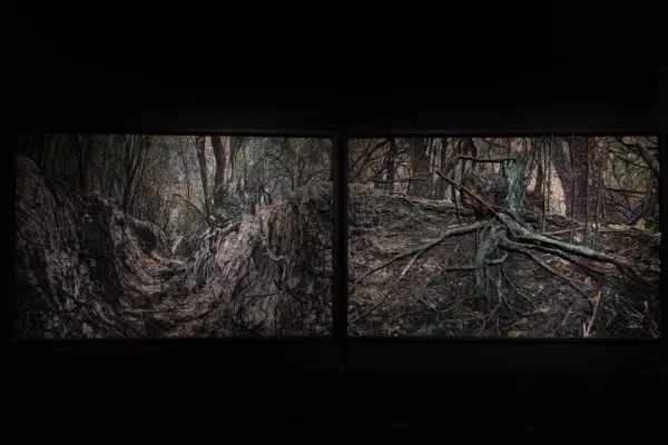 La obra monumental del grupo Mondongo llega al Museo Castagnino