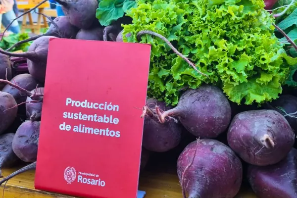Colectividades: la Municipalidad promueve la sustentabilidad entregando verduras agroecológicas