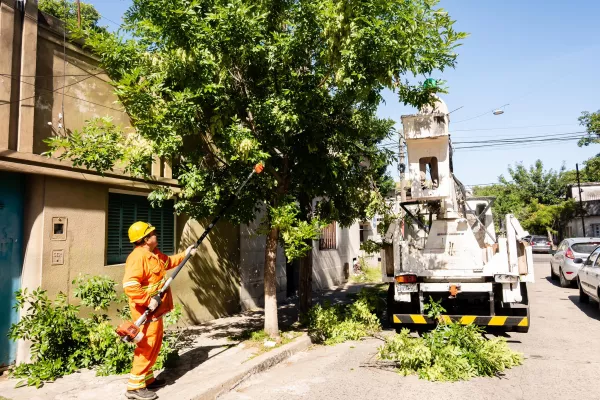 El municipio continúa con los trabajos de poda y escamonda en diferentes barrios 