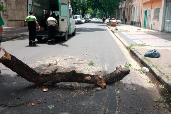 Tormenta: se registraron ráfagas de hasta 59 km/h y hubo unos 60 reclamos al 103 