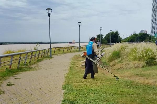 Desmalezado: cuadrillas del municipio realizan tareas en todos los distritos