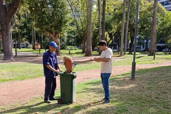 Desmalezado: cuadrillas del municipio realizan tareas en todos los distritos
