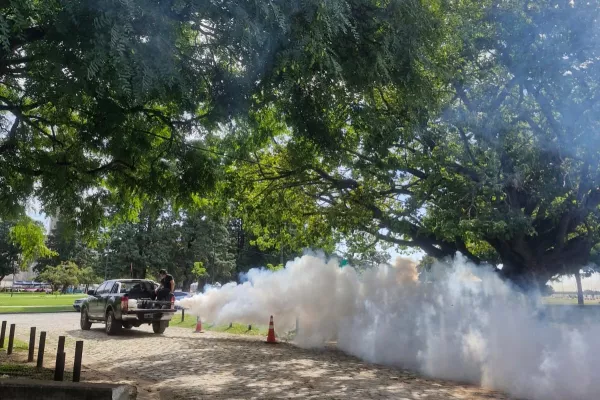 Fumigación: el municipio lleva adelante operativos en distintas zonas de la ciudad