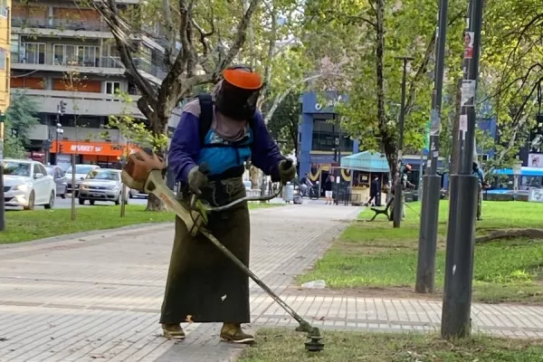 El municipio lleva adelante trabajos de escamonda en barrios de los distritos Centro, Noroeste y Sur