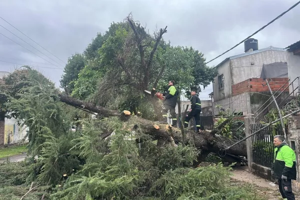 Tormenta en Rosario: se registraron ráfagas de 68 km/h y cayeron alrededor de 30 milímetros de lluvia