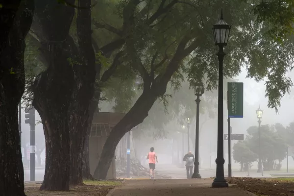 Rosario tendrá un fin de semana fresco, estable y con neblinas