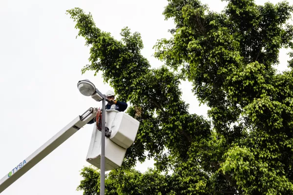 Durante el mes de mayo se instalaron más de 1.600 luces led en toda la ciudad