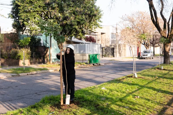 El municipio plantó árboles de diversas especies en barrio Cura