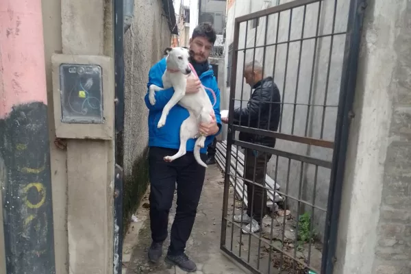 Maltrato animal: agentes municipales rescataron una perrita que estaba a la intemperie y atada con una cadena corta 