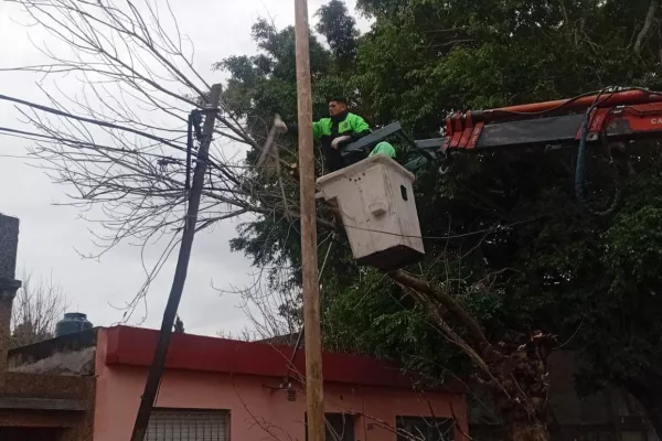 Tormentas: Protección Civil desplegó intervenciones por anegamientos, árboles y cables afectados