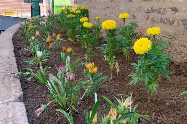 Convocan a vecinas y vecinos a participar de talleres en la Escuela Municipal de Jardinería