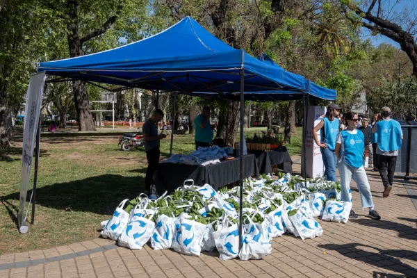 Este viernes habrá canje de reciclables en la Plaza Alberdi