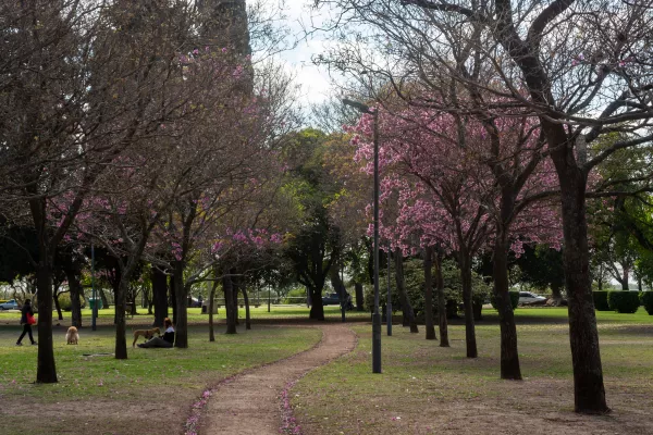 «Las 4 estaciones»: convocan a vecinas y vecinos a participar de un recorrido especial por el Parque Urquiza