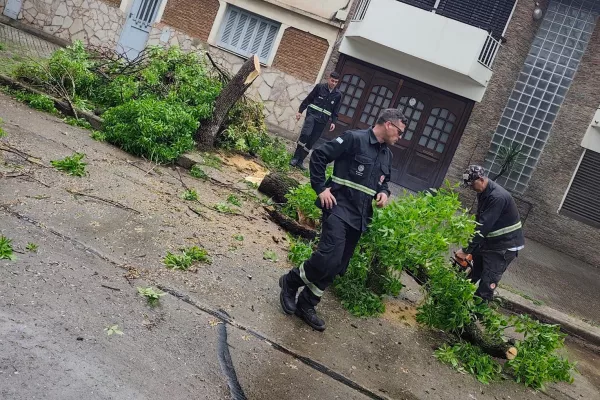 Temporal en Rosario: hasta el momento se registraron 93 incidencias