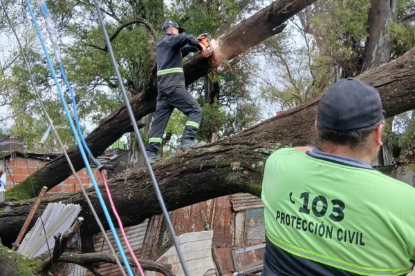 Temporal: Rosario registró 320 incidencias y continúan los trabajos de Protección Civil 