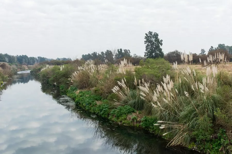 Arroyo Ludueña