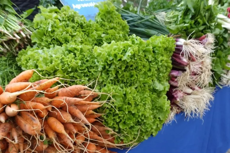 Verduras en venta en un puesto de la Feria Plaza Suecia