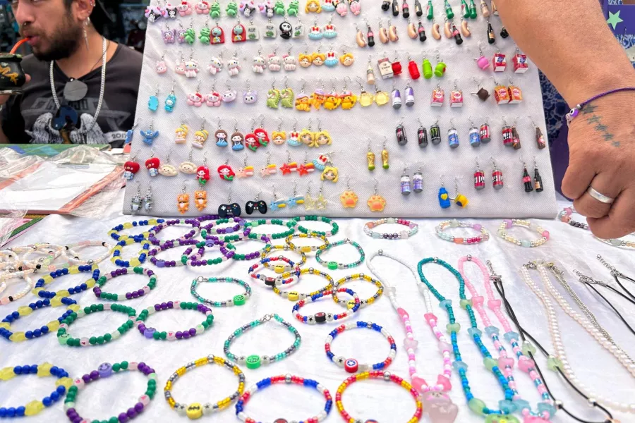 Feria parque norte