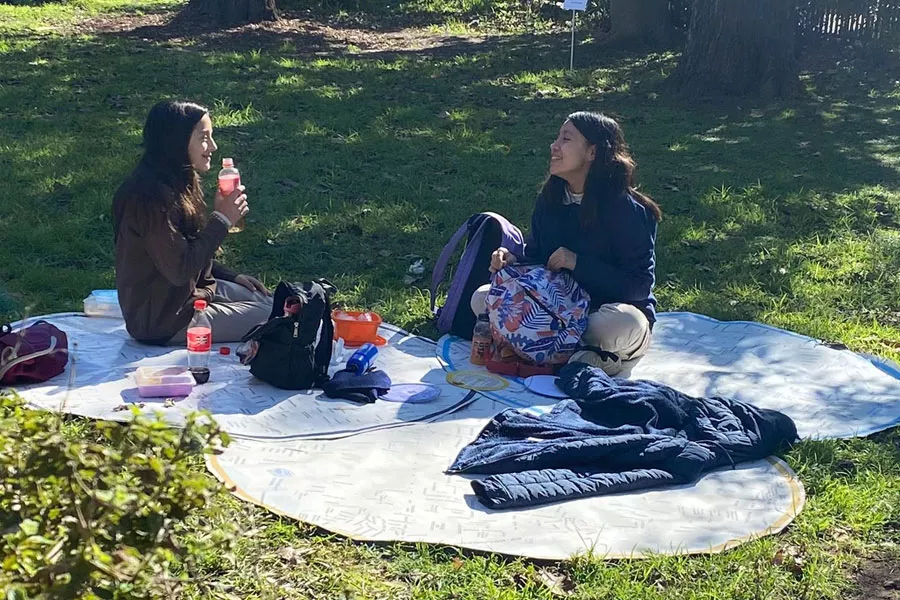 picnic al sol en Estacion Embarcaderos