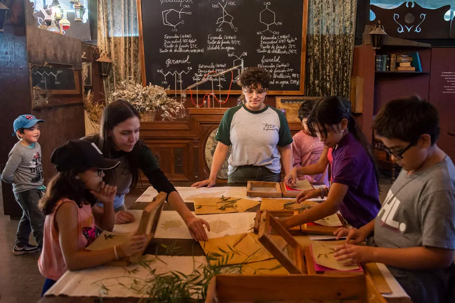 Niños y coordinador procesando plantas silvestres en el espacio Explorar de la galería en la Granja de los Niños
