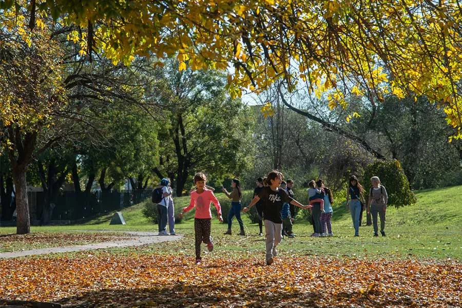 Paisaje de bosque en La Granja de la Infancia con niños corriendo