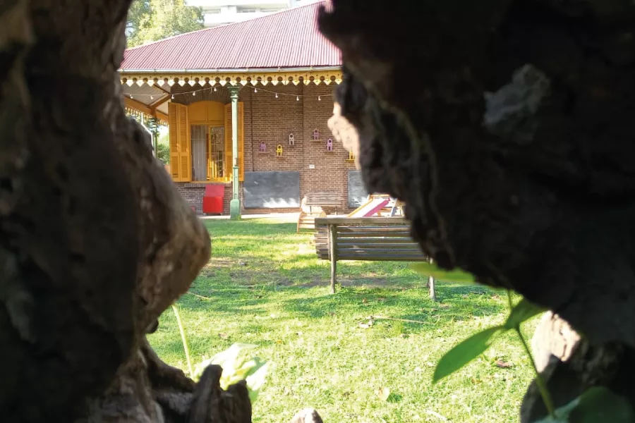 vista de Estación Embarcaderos desde el hueco de un tronco